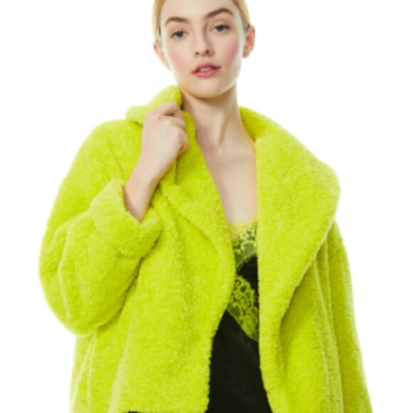 Coat - Picture 1 of 2